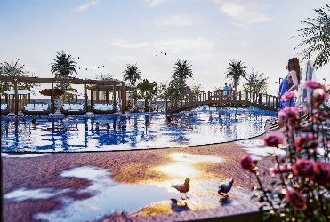 Gayrimenkul Görseli